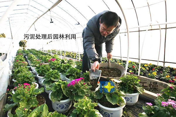 污泥干化后園林利用