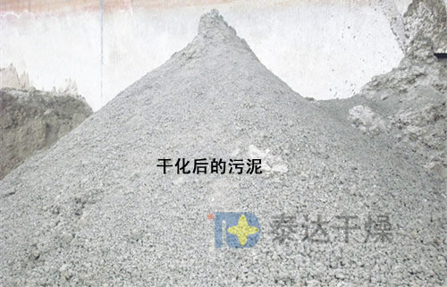 干化后的污泥